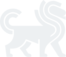 Primary icon